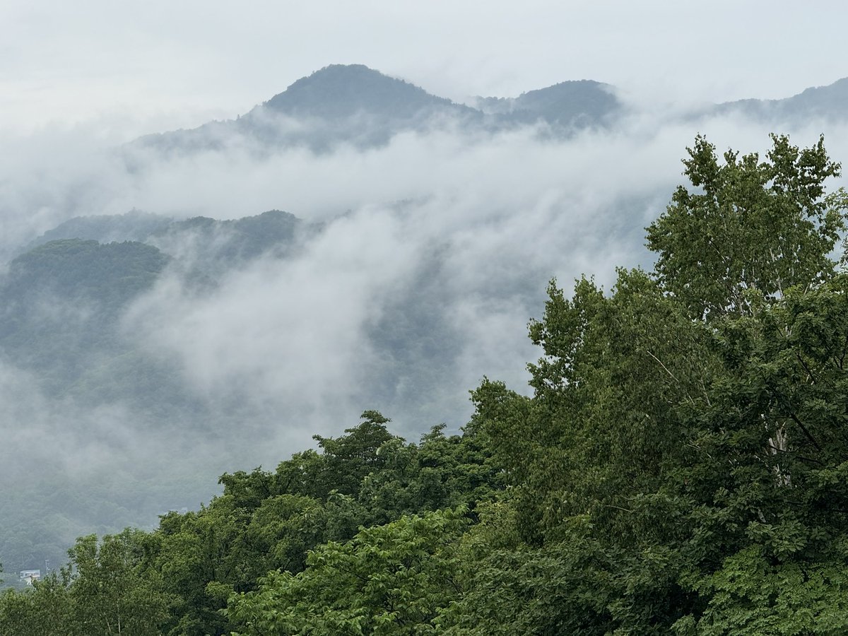 dadsweb67's tweet image. Another cloudy weekend in Sapporo