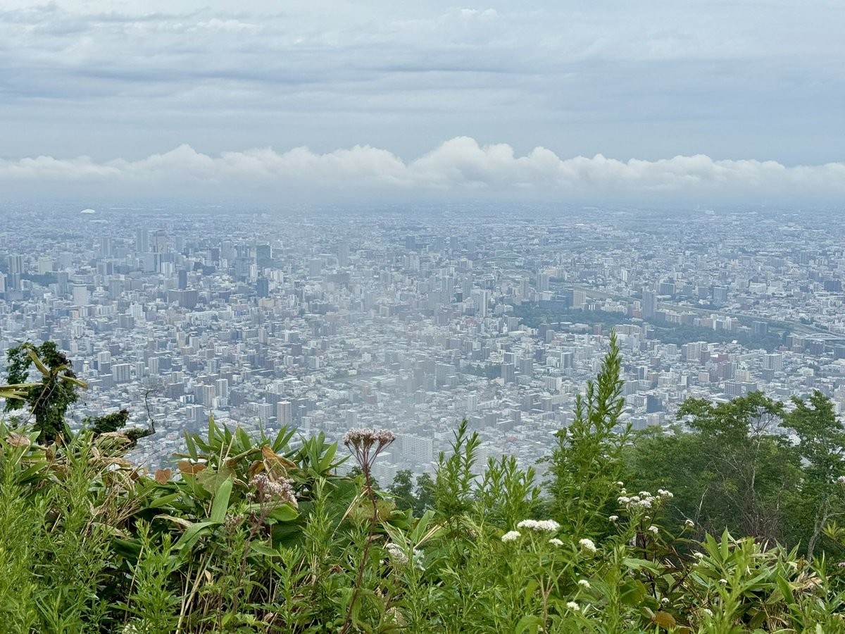 dadsweb67's tweet image. Another cloudy weekend in Sapporo