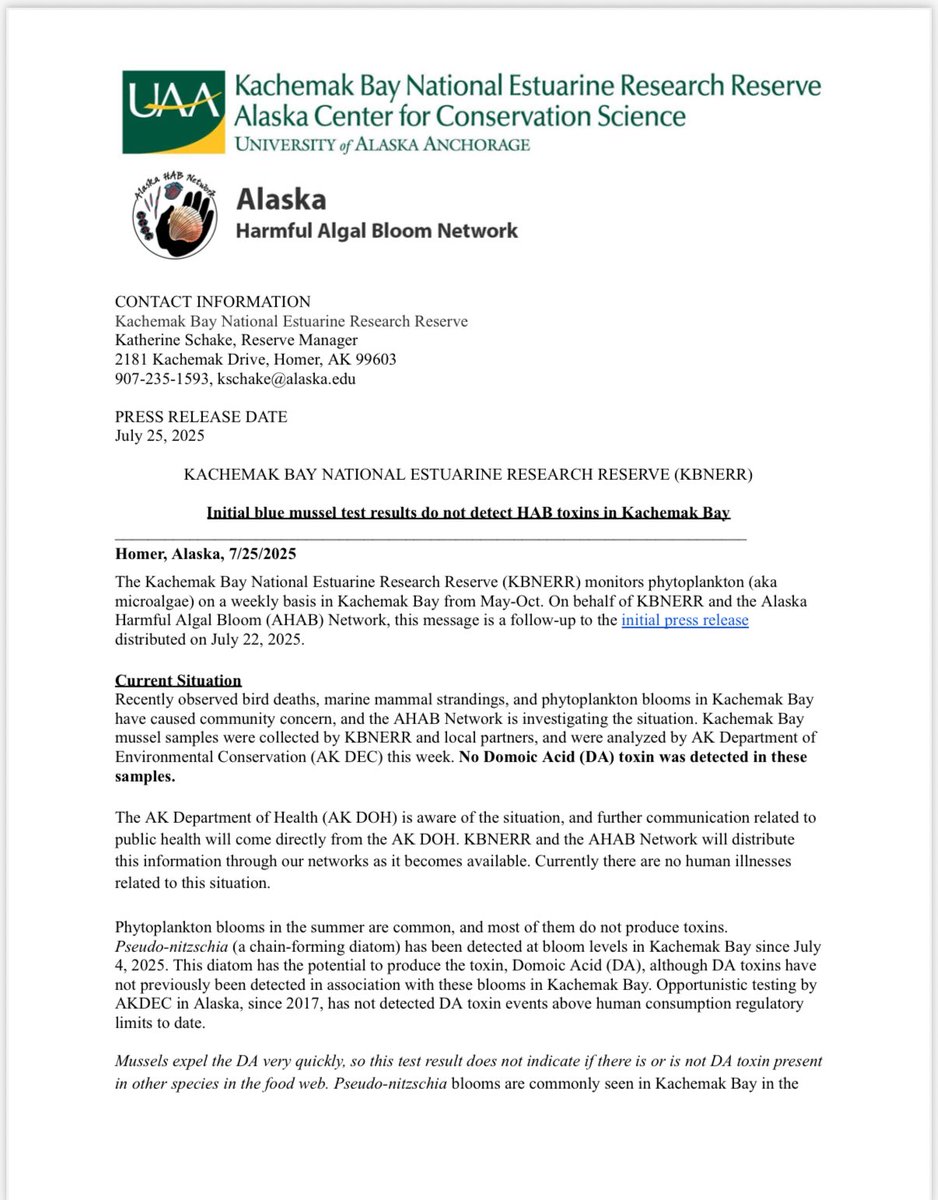 RepVance's tweet image. UPDATE ON ALGAL BLOOM IN K-BAY
Current Situation
Recently observed bird deaths, marine mammal strandings, and phytoplankton blooms in Kachemak Bay have caused community concern. The AHAB Network is investigating the situation.
Kachemak Bay mussel samples, collected by KBNERR and…