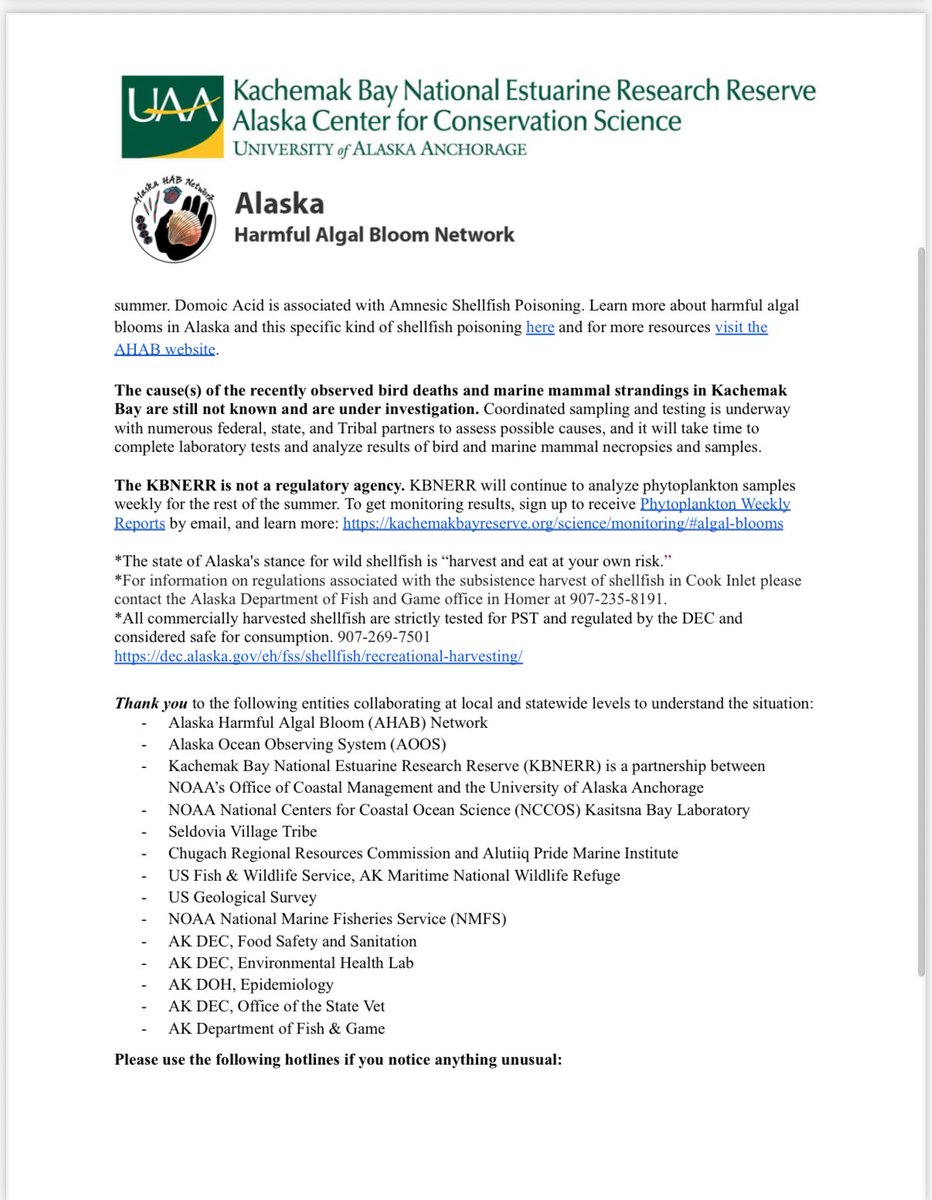 RepVance's tweet image. UPDATE ON ALGAL BLOOM IN K-BAY
Current Situation
Recently observed bird deaths, marine mammal strandings, and phytoplankton blooms in Kachemak Bay have caused community concern. The AHAB Network is investigating the situation.
Kachemak Bay mussel samples, collected by KBNERR and…