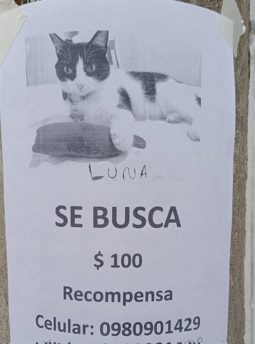 Filosofocar's tweet image. Obra social, sector Policentro, Guayaquil.
RT
Se busca a Luna.
