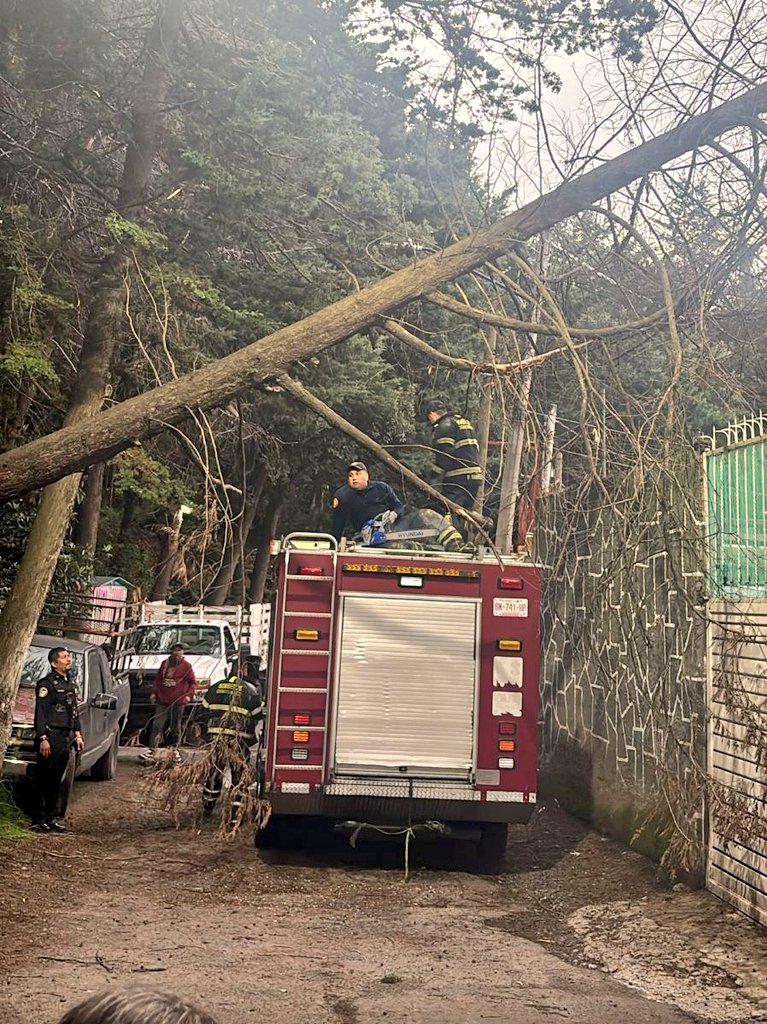 SGIRPC_CDMX's tweet image. En Rancho Viejo y Emiliano Zapata, Col. San Nicolás, @TlalpanAl, se registró la caída de un árbol de 20 m de longitud y 1 m de diámetro. Al caer, quedó recargado en cableado de media tensión de la CFE; sin lesionados. Es seccionado por @Bomberos_CDMX. #TrabajandoJuntos…