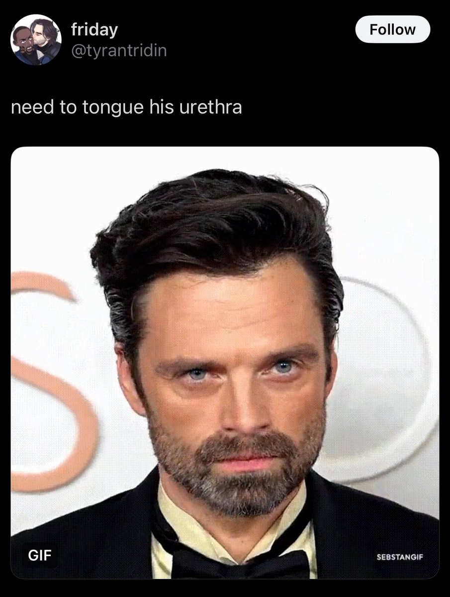 sebstanstruggle's tweet image. 