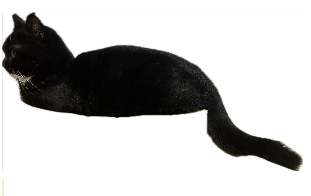 tavi_sapien_s's tweet image. ？