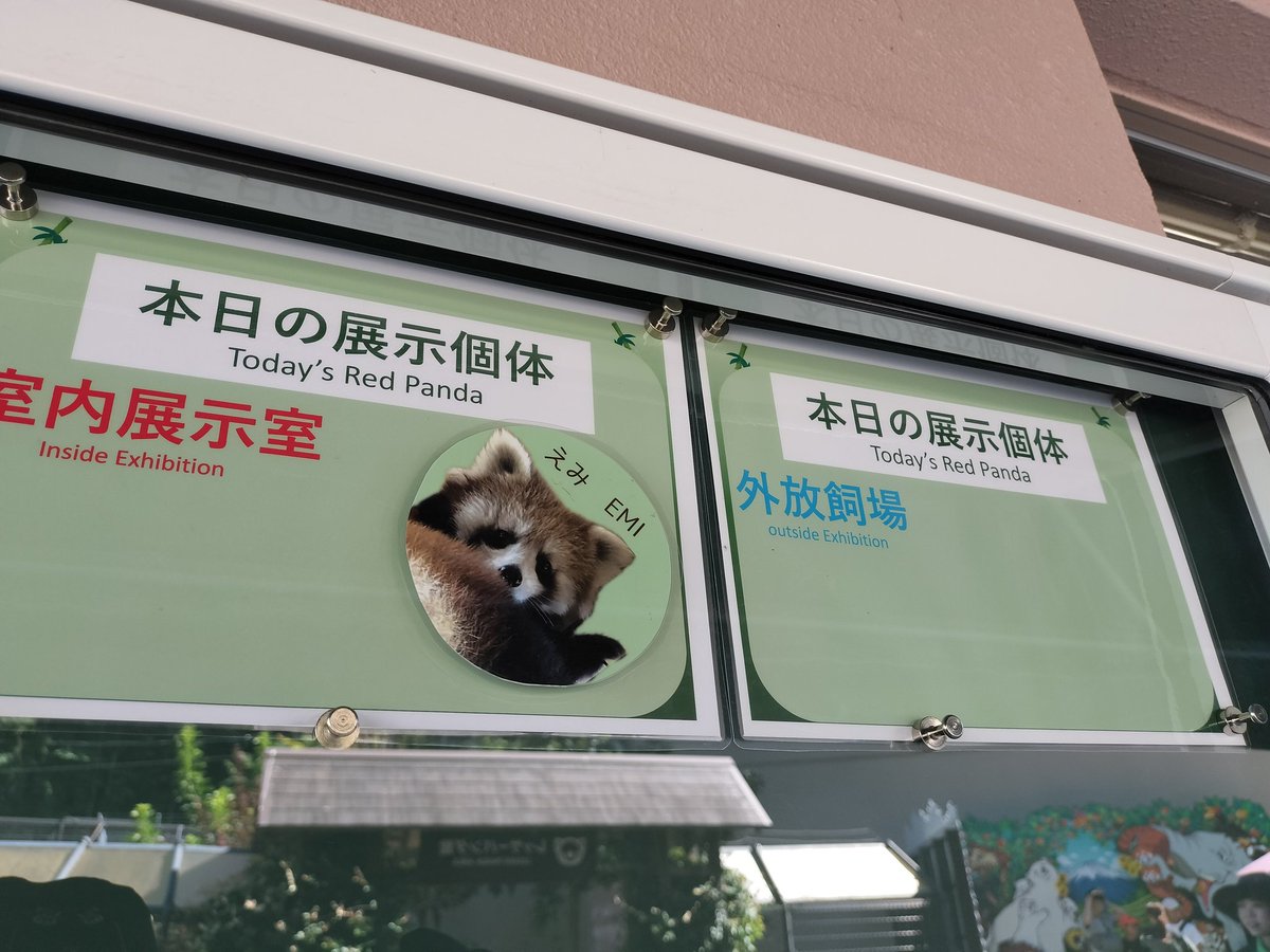 kyon_rp_'s tweet image. 本日のダイラ！
えみちゃん朝からはっちゃけてる…
(速すぎて動画は撮れない)