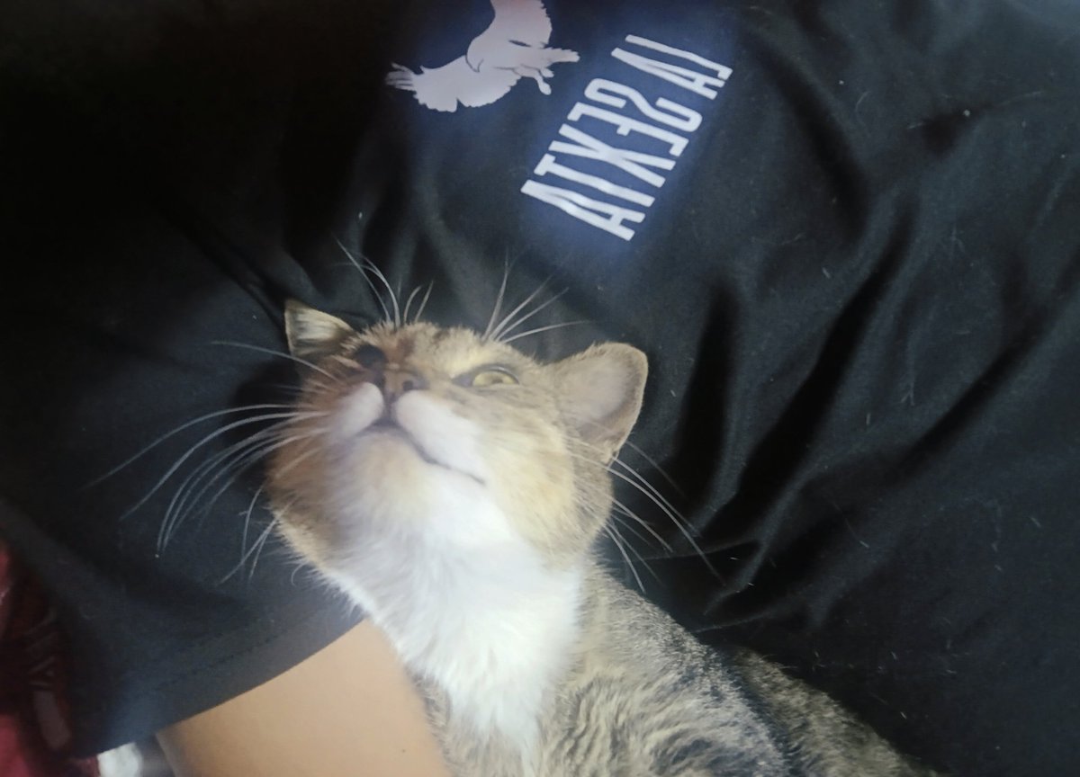 <a href="/EstralEsports__/">Estral Esports</a> Les presento a Samira 😼
