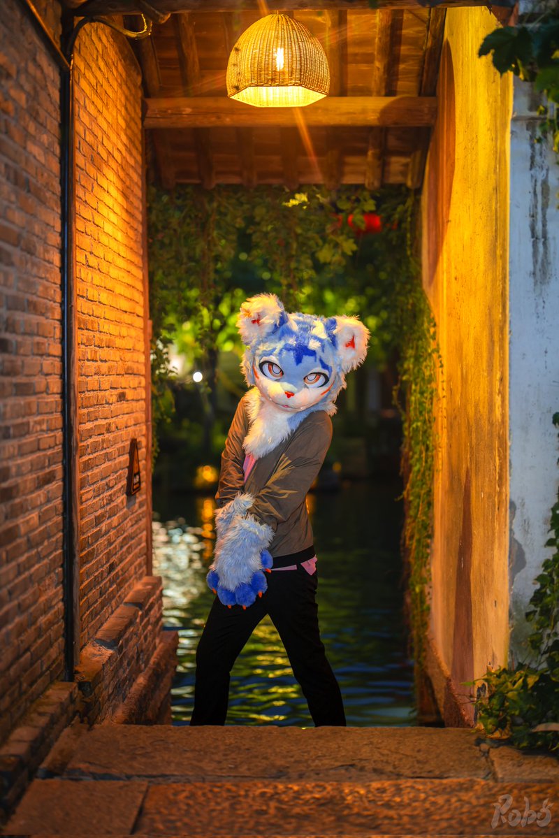 KailiFurry's tweet image. Absolutely beautiful pictures by @_Roborab when he took me to 乌镇 Wuzhen Water Town in Tongxiang, China 💙💙💙
