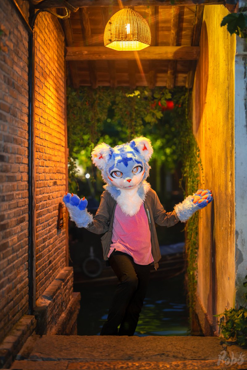 KailiFurry's tweet image. Absolutely beautiful pictures by @_Roborab when he took me to 乌镇 Wuzhen Water Town in Tongxiang, China 💙💙💙