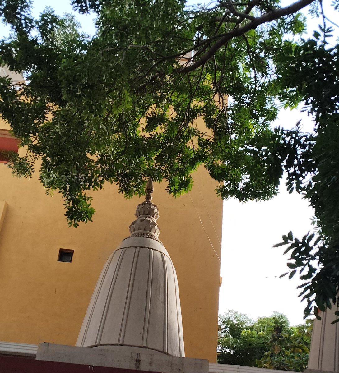 Good morning X friends.
Confidence in mind is positive thought.
Success in happy life is blessings of Lord 🙏.