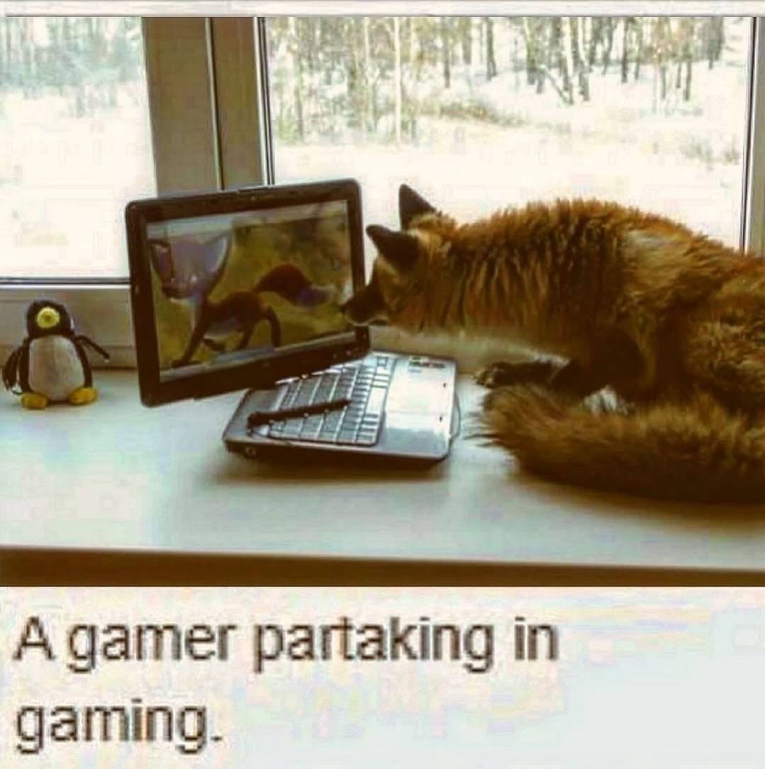 Ast (@astaxol) on Twitter photo  Ast (@astaxol) on Twitter photo