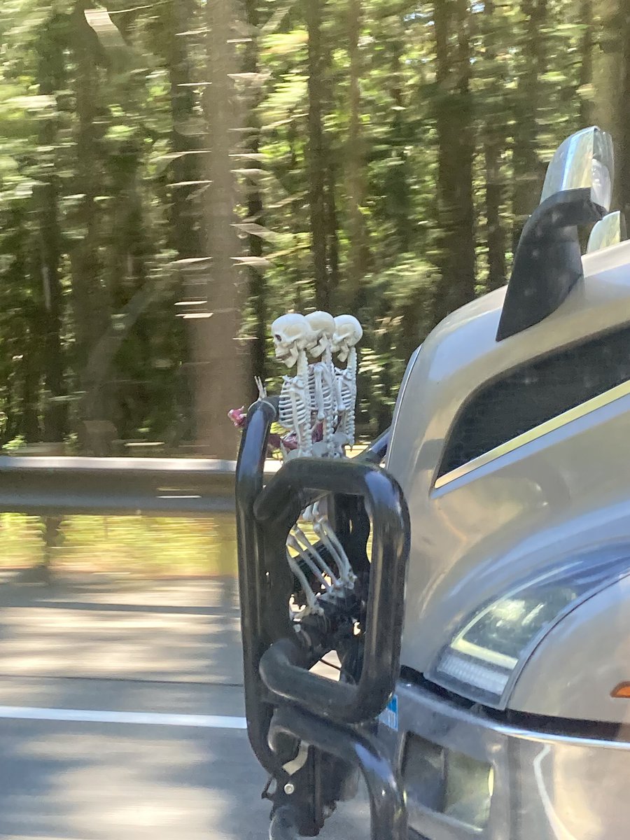 0pos_sum's tweet image. In another life, we were plastic skeletons on an unvaccinated truckers bumper.