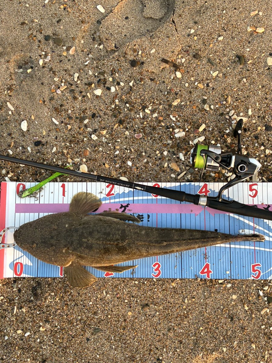 いゃぁ、やっと50upのマゴチが釣れたぁ〜

今シーズンは、小さいのばかりで…