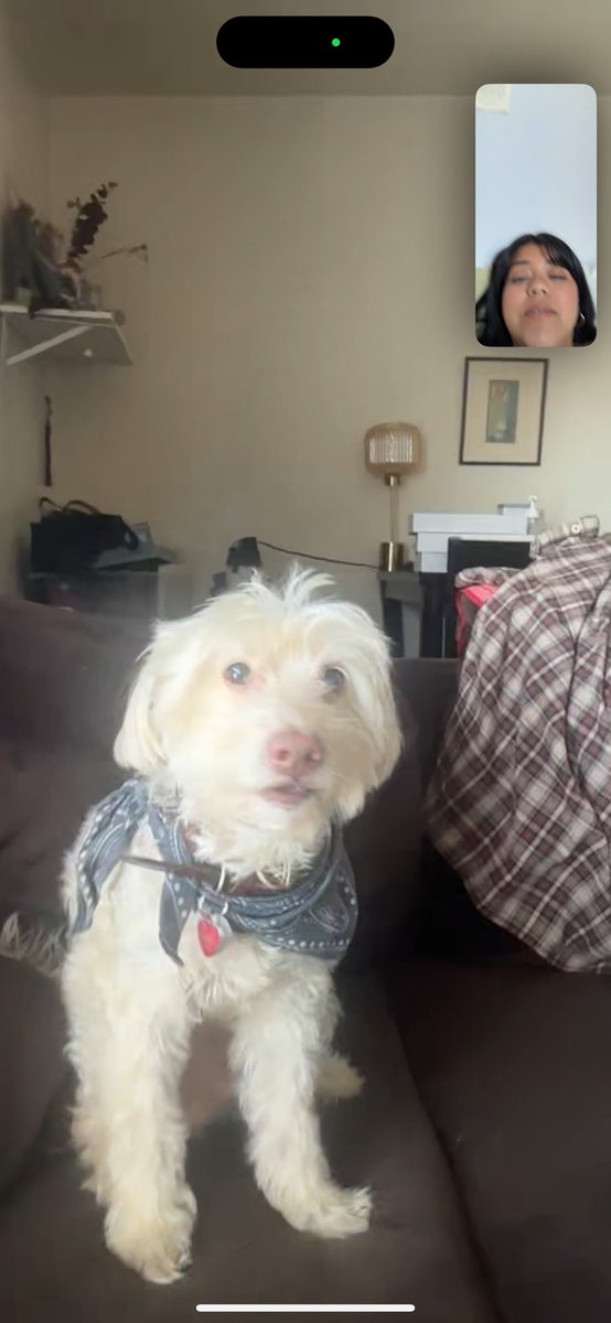 oomfaptcomplex's tweet image. He looks like a human