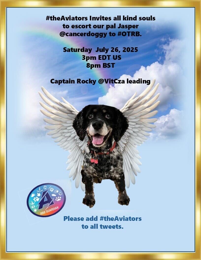 Please join #TheAviators as we escort Jasper <a href="/CancerDoggy/">I is Jasper. Here in Hartsons honour ❤️</a> to the bridge. Captain Rocky <a href="/VitCza/">Rocky 😸Tabitha 😽Bernee🐻🌈Vitcza🌈Barney</a> leads. Tomorrow,July 26, 2025 see poster below for times.