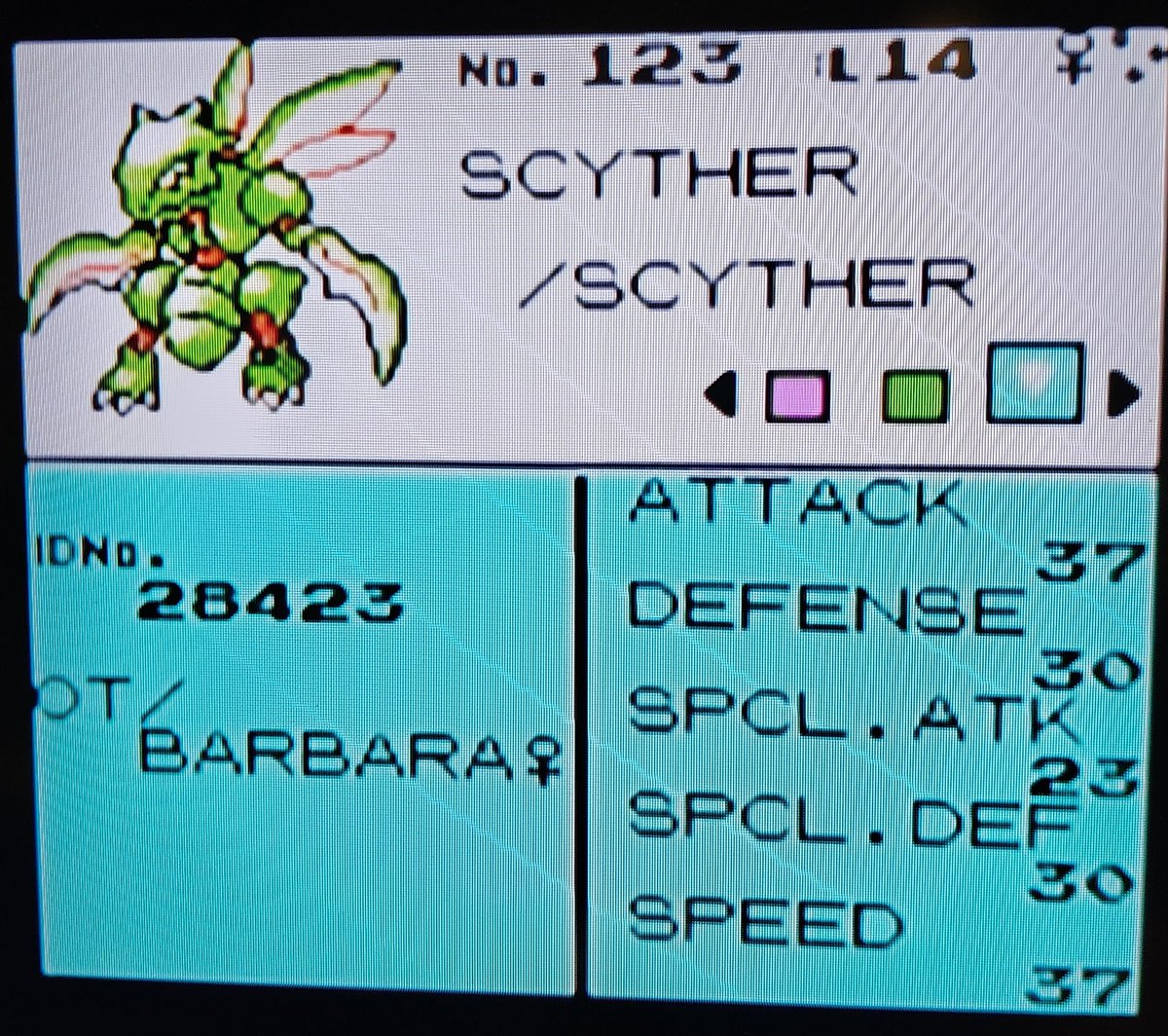 Team Rocket Pat ®️ tweet media