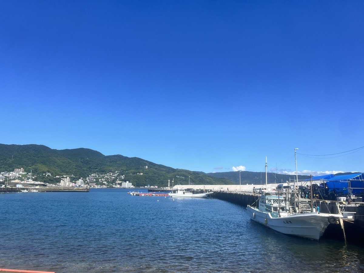 izunp_ito's tweet image. 伊東市新井の伊東ダイビングサービスからの景色です🌊
実はダイビングは伊豆が発祥の地という説もあり。
国内屈指の透明度を誇る伊東の海に、ぜひ潜りにきてください!ダイビング楽しいよ!
#静岡県 #伊東市 #ダイビング #今こそ伊東キャンペーン