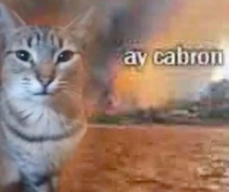 AimeryCenoir_'s tweet image. Watching boomf gwt on uma musume for the 4th time today