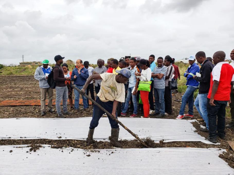 CRCCNews's tweet photo. #CRCCBuildingTogether In #Mozambique, rice is quietly transforming local dinner tables. With #CRCC’s support, the Xai-Xai Agricultural Cooperation Project has delivered nearly 60,000 tonnes of rice, and training 2,000+ local agri-tech talents.🌾🇲🇿 https://t.co/84hWZDILdc