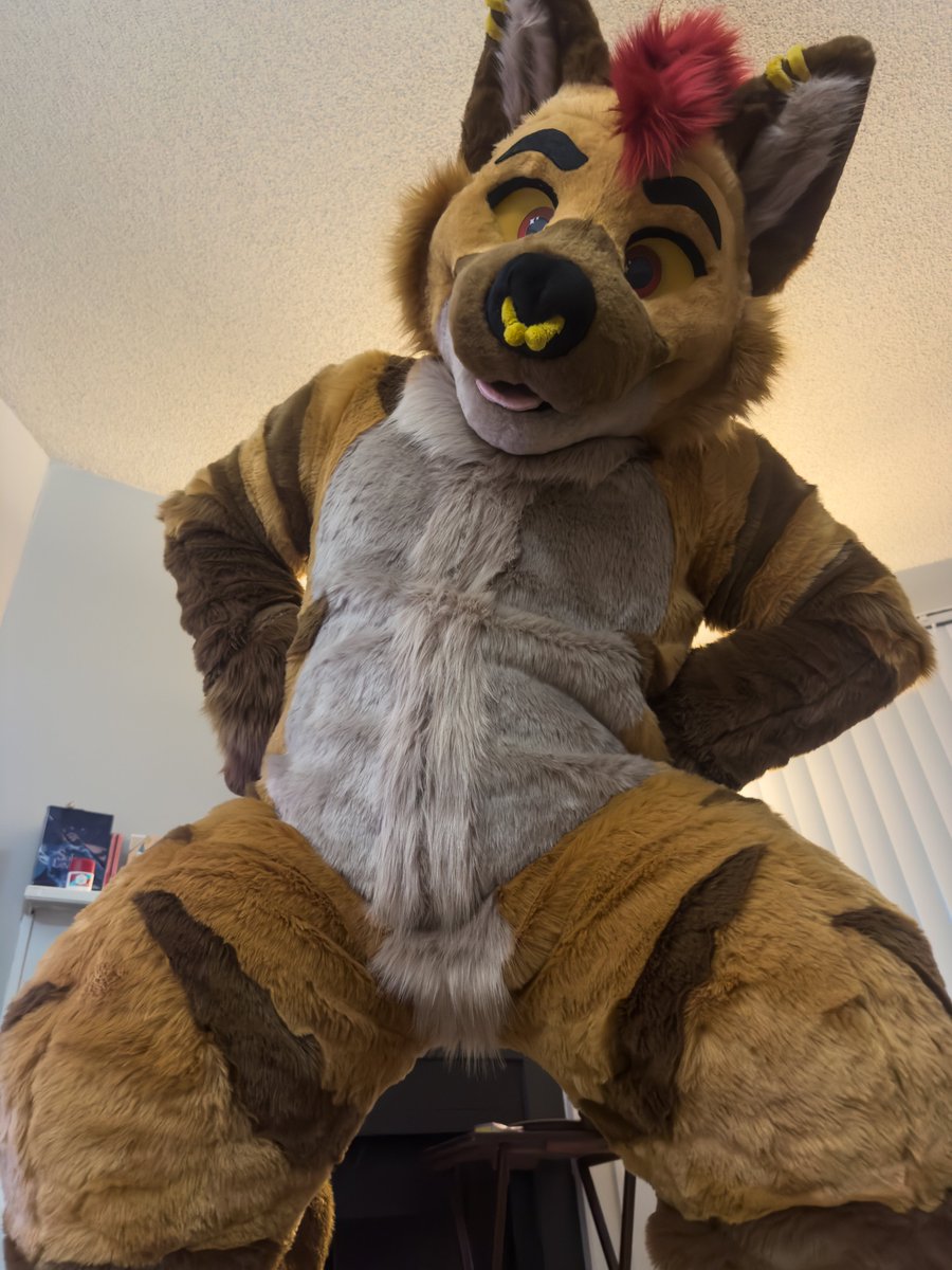 Jasper Hyena🔜FWA tweet media