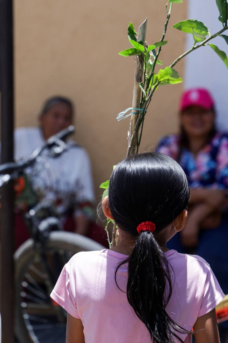 mx_observa's tweet image. #Municipios 🤝 @LupitaCuautleT acerca servicios a San Bernardino Tlaxcalancingo
La presidenta de #SanAndrésCholula encabezó una nueva jornada de atención directa, fortalecida con alianzas como el Mercadito Verde y el Bufete Jurídico de la @BUAPoficial.
✅ 🔟 Jornadas, 5 mil…