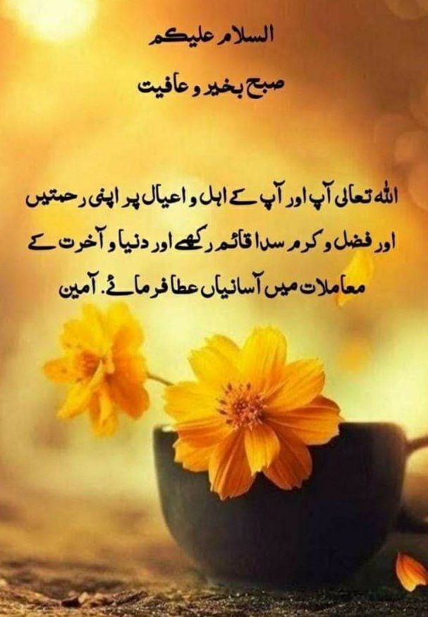السلام عليكم ورحمۃ اللہ

ہلاکت ہے ان کے لئے جو انصاف کا پلڑا پکڑے اس سے تعصب کرتے ہیں۔ بدترین لوگ ہیں جو کہتے ہیں کہ ہم تو اصلاح کرنے والے ہیں ہرگز نہیں یہی لوگ فساد فی الارض کا سبب ہیں ان کے لئے دردناک عذاب ہے پس گنتی کے چند دن تم بھی دیکھو اور اللہ بھی دیکھ رہا ہے۔ 

صبح بخیر