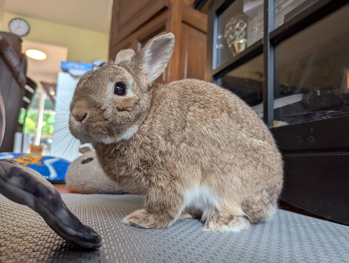 rocky.. 🍁 tweet media