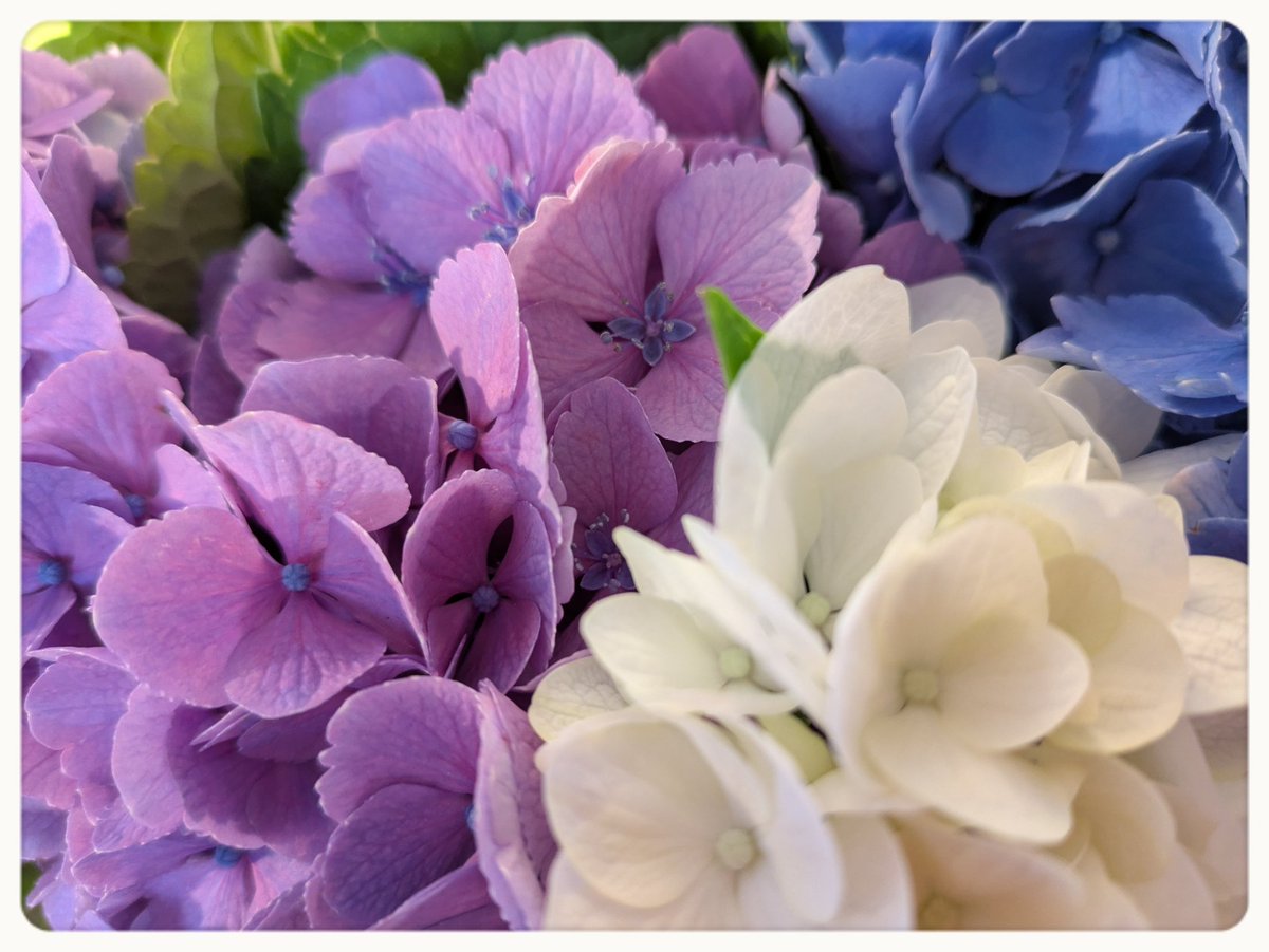 natty19426908's tweet image. おはようございます😊
今日は、遠くのお迎えに
なるので、あっという間に
1日が終わりそう
頑張る🥤
今日もよろしく
お願いします🤝