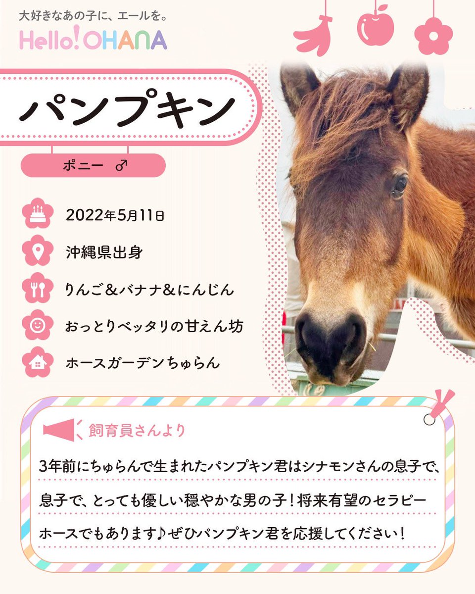 helloohana_'s tweet image. ホースガーデンちゅらんより
ポニーのパンプキンさんのご紹介🎃🧡
今年3歳を迎えたパンプキンさんは
シナモンさんの息子で
とても優しい性格をしています🐴☘️
将来はセラピーホース
としての活躍も期待される存在です!
そんな立派な
あなたには贈り物が待っています🥕💝
app.helloohana.co.jp/animals/pumpki…