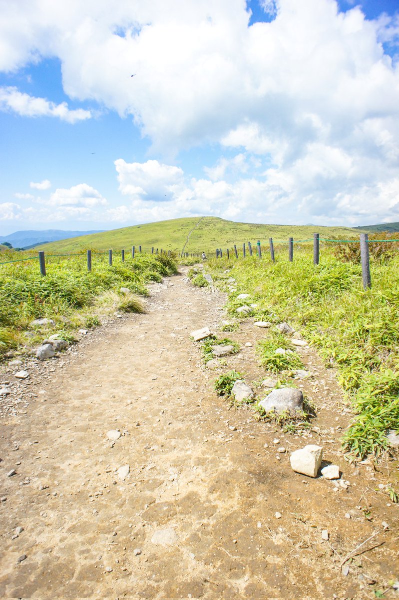 霧ヶ峰の登山道です