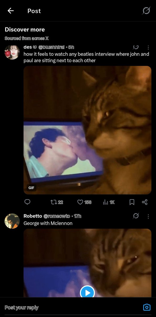 GeesVeggieBurgr's tweet image. 😭😭😭😭