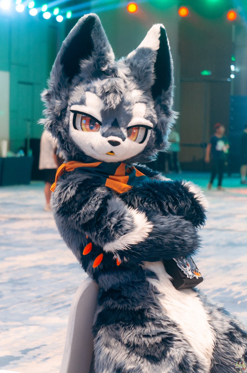 (*¯︶¯*)
📷：<a href="/pio1840708/">pio</a> 
#FursuitEverday #wwpass #得闲兽聚
