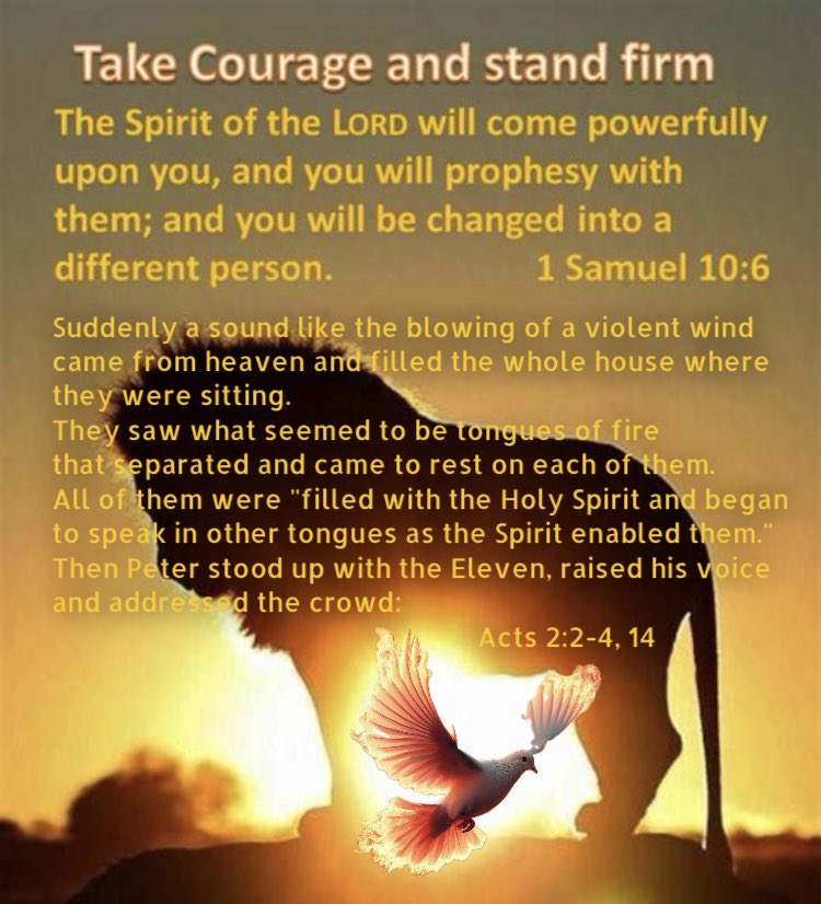 WeaponofPrayer's tweet image. 
