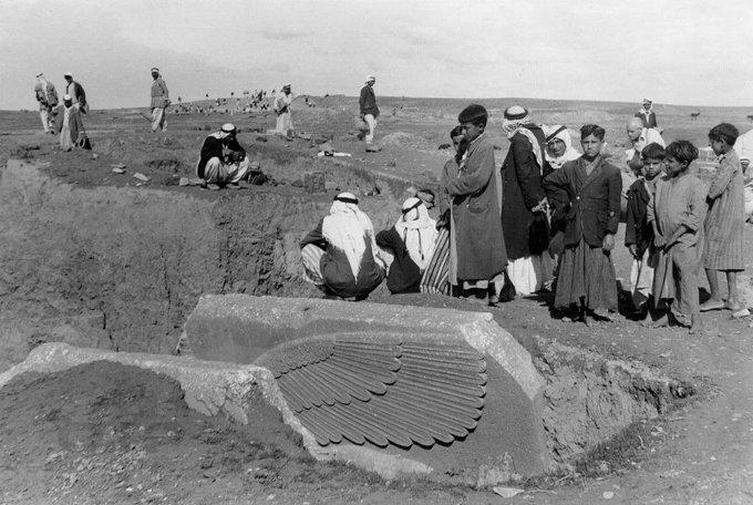 hmorneg's tweet image. سال ۱۹۴۹، سایت باستانیِ نمرود، نینوا، عراق
هنگامی که قسمتی از مجسمهی گاو بالدار نمایان شده است.
جالب اینکه عکاس خانم آگاتا کریستی بوده که به همراه همسر باستان شناسش چندبار به میانرودان سفر کرده بود.