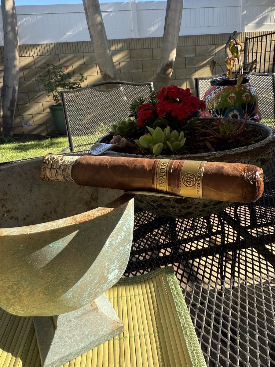 Kevin O'Brien (@kobrien53) on Twitter photo Unboxed Rocky Patel Royales percolating for five years. Wonderful cigar but in the past experienced difficulty achieving an even burn. So far, so good with this one. <a href="/Mike_W_Simpson/">The Mentor</a> <a href="/RebelChefJay/">🇵🇷Rebel Chef Jay da Guru🇺🇲</a> <a href="/CigarChairman/">Stephen LaPre,Sr</a> <a href="/sctworthy/">Scott Worthington</a> <a href="/keepmovin2020/">CIGARS&RANDOM STUFF...</a> <a href="/donaldb2986/">Kappy’s Gas</a> <a href="/svcigar/">Sean</a> Unboxed Rocky Patel Royales percolating for five years. Wonderful cigar but in the past experienced difficulty achieving an even burn. So far, so good with this one. <a href="/Mike_W_Simpson/">The Mentor</a> <a href="/RebelChefJay/">🇵🇷Rebel Chef Jay da Guru🇺🇲</a> <a href="/CigarChairman/">Stephen LaPre,Sr</a> <a href="/sctworthy/">Scott Worthington</a> <a href="/keepmovin2020/">CIGARS&RANDOM STUFF...</a> <a href="/donaldb2986/">Kappy’s Gas</a> <a href="/svcigar/">Sean</a>