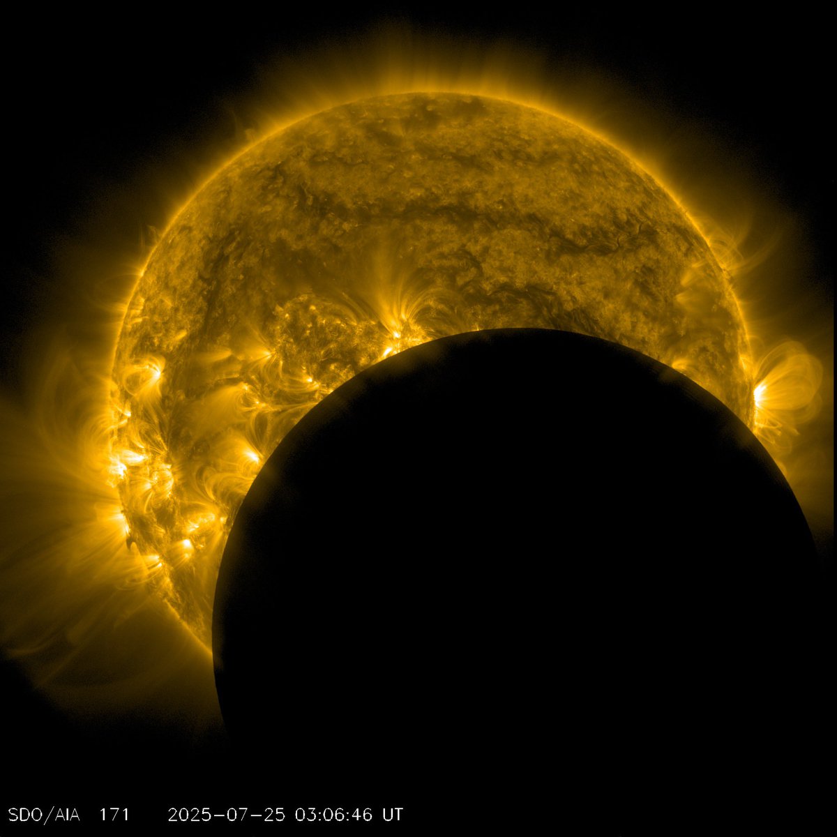 THEQWARRIORVeri's tweet image. The black Sun is here!