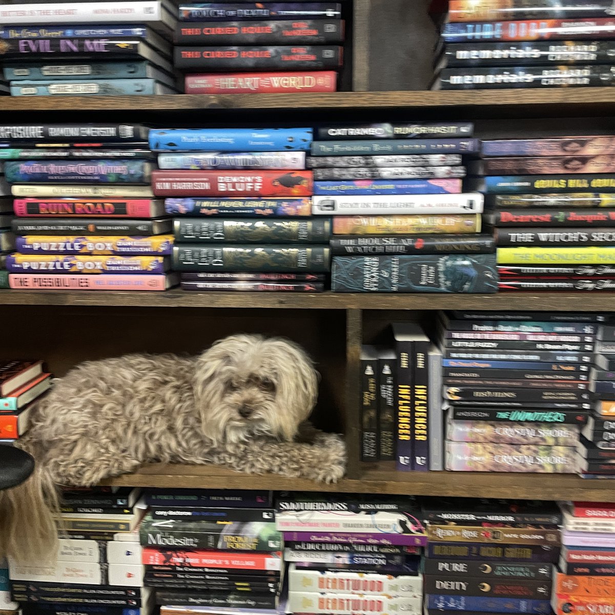 locusmag's tweet image. It's almost time for our monthly giveaway! Join our Patreon tier at $10/month now to be entered for a chance to win books! We host this giveaway on the 30th. In addition to entering you will receive the ePub/PDF version of the magazine every month. patreon.com/locus