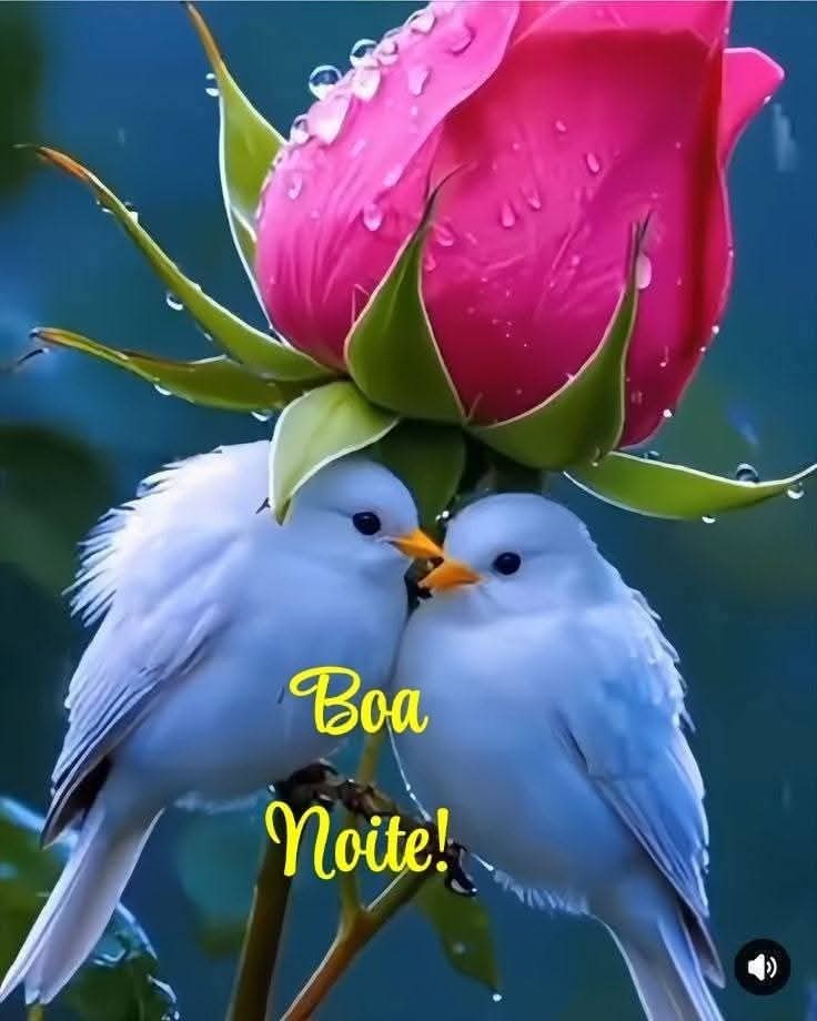 IremarSantos7's tweet image. Boa noite ❤️🌹🌻