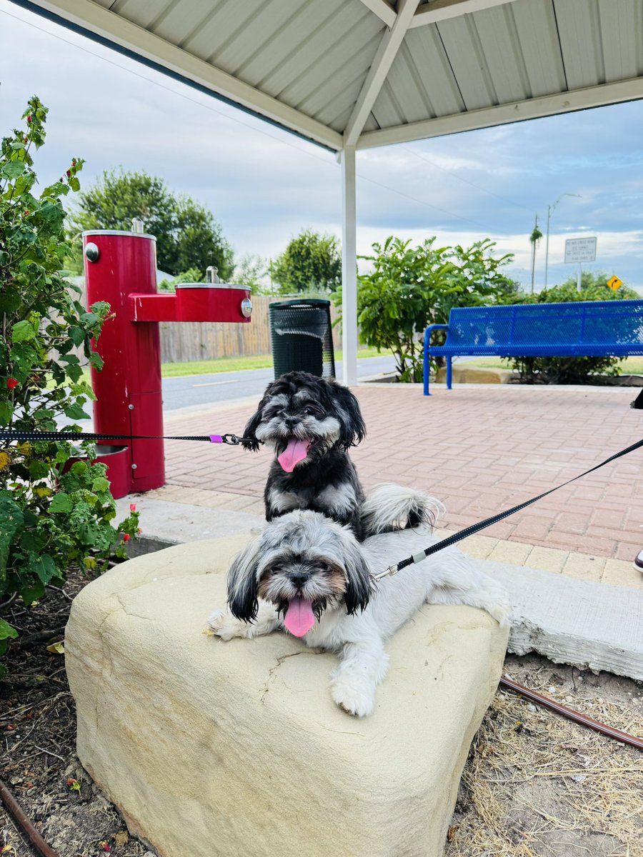 mrscruzzz's tweet image. Out for a little walk with my girls 🐾 but still dreaming of some wishlist love tonight. 💕
Can you help us get a little closer to ready for back to school?
Any help or RT is greatly appreciated!🩷
THANK YOU! #clearthelist
amazon.com/hz/wishlist/ls…