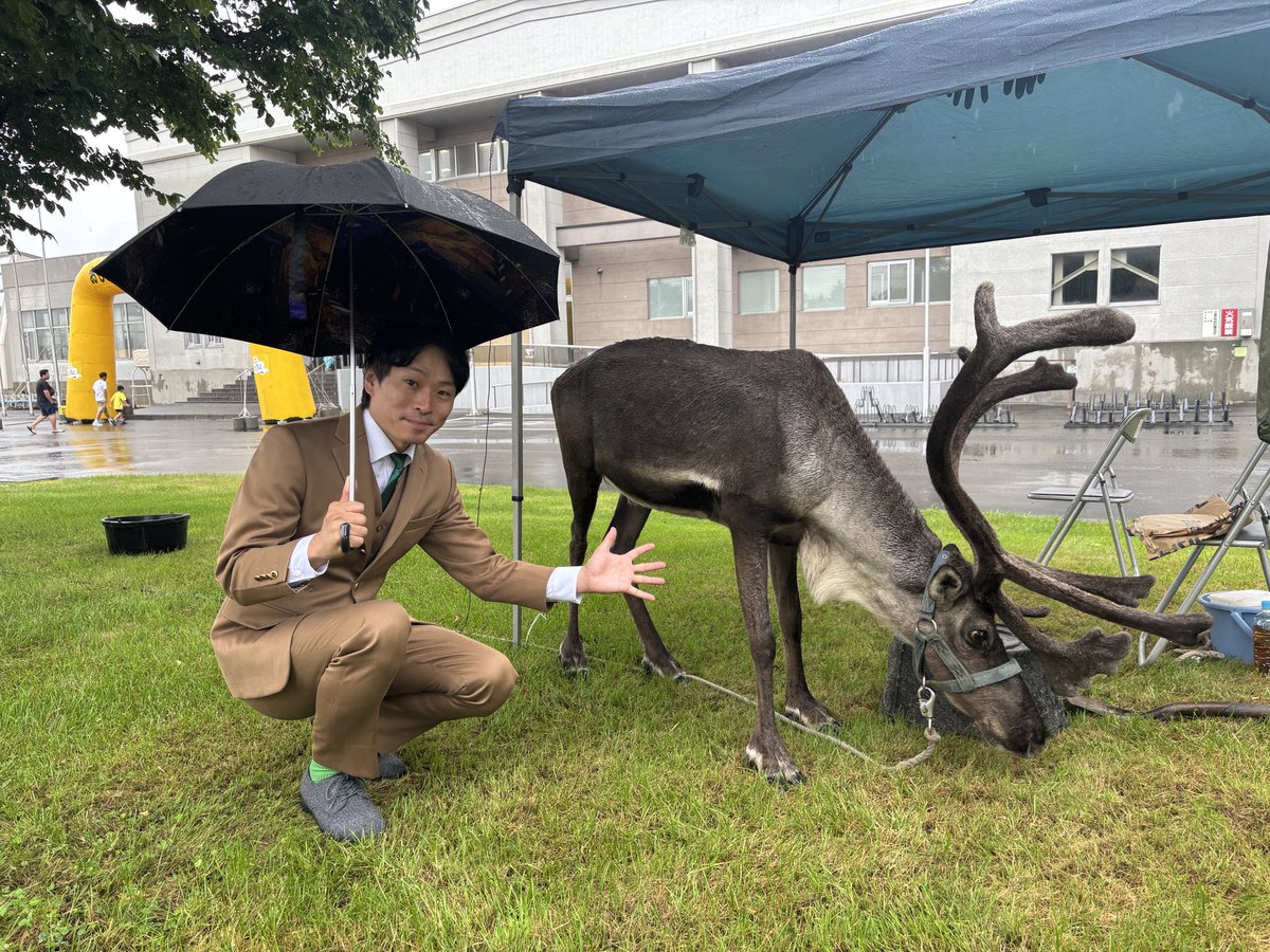 おもしろ科学館 in ほろのべ2025はスタートしております！
多少、雨模様ですけど愛らしいトナカイに会いにお越しください！