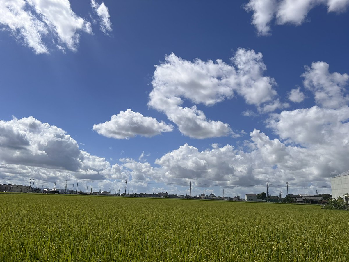本日も晴天なり
バーベキューしたいな🍖