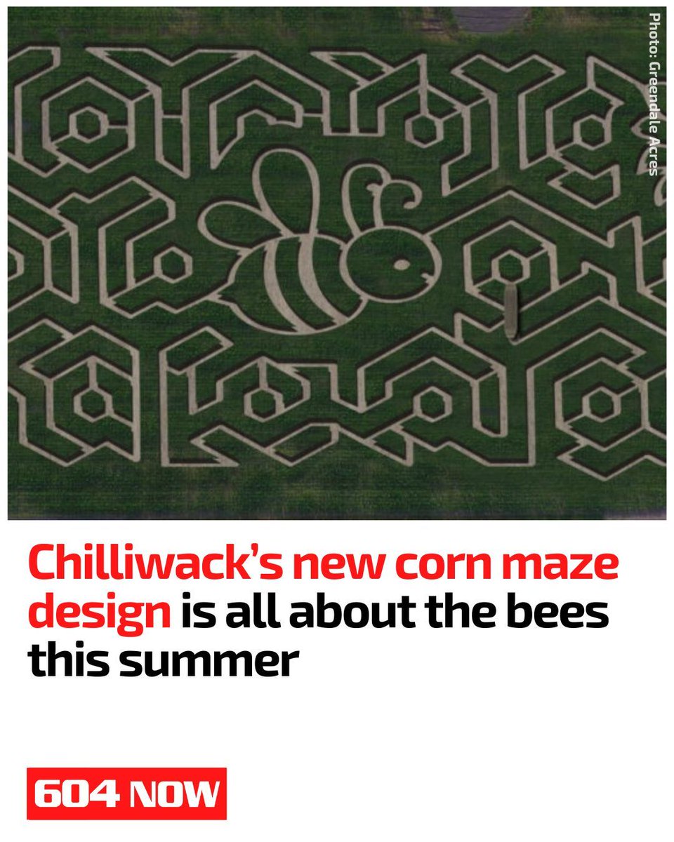 Greendale Acres' corn maze returns August 1 with a bee-themed twist to celebrate pollinators. Expect raw honey, fun stops, tractor rides, live music, and a stacked August event lineup. This one’s worth the road trip.  🐝🌽