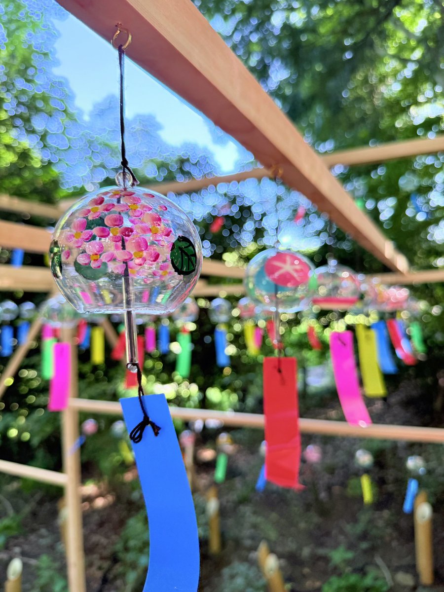 Hanabiyori8717's tweet image. はなびより夏の風物詩「花風鈴」がスタートしました🎐✨
風が通り抜ける木々に囲まれた空間で、200個の江戸風鈴が奏でる音色をお楽しみください😊🎐✨
■期間 10月13日(月祝)まで
■場所 聖なる森エリア 聖門前
#hanabiyori #はなびより #風鈴 #フラワーパーク #よみうりランド