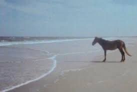 orwasitcamel's tweet image. Imagine we get a Rayllum baby (hoping it doesn’t happen now) and she’s not named Sarai.