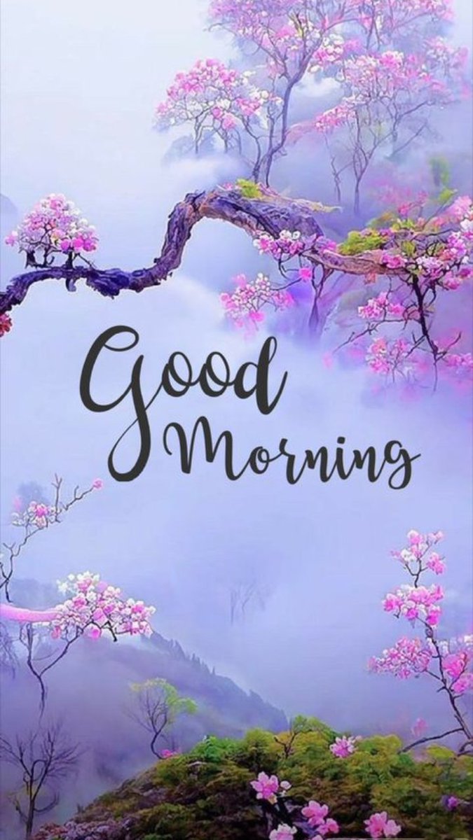 Good morning 🌞🌞🌞