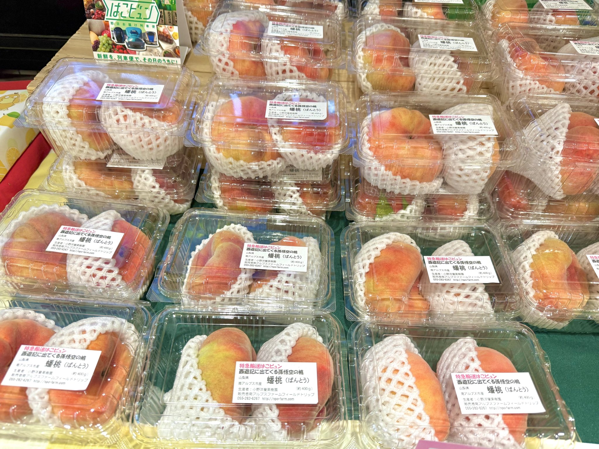 牡丹餅 あんこ (@ankobotamochi) / X