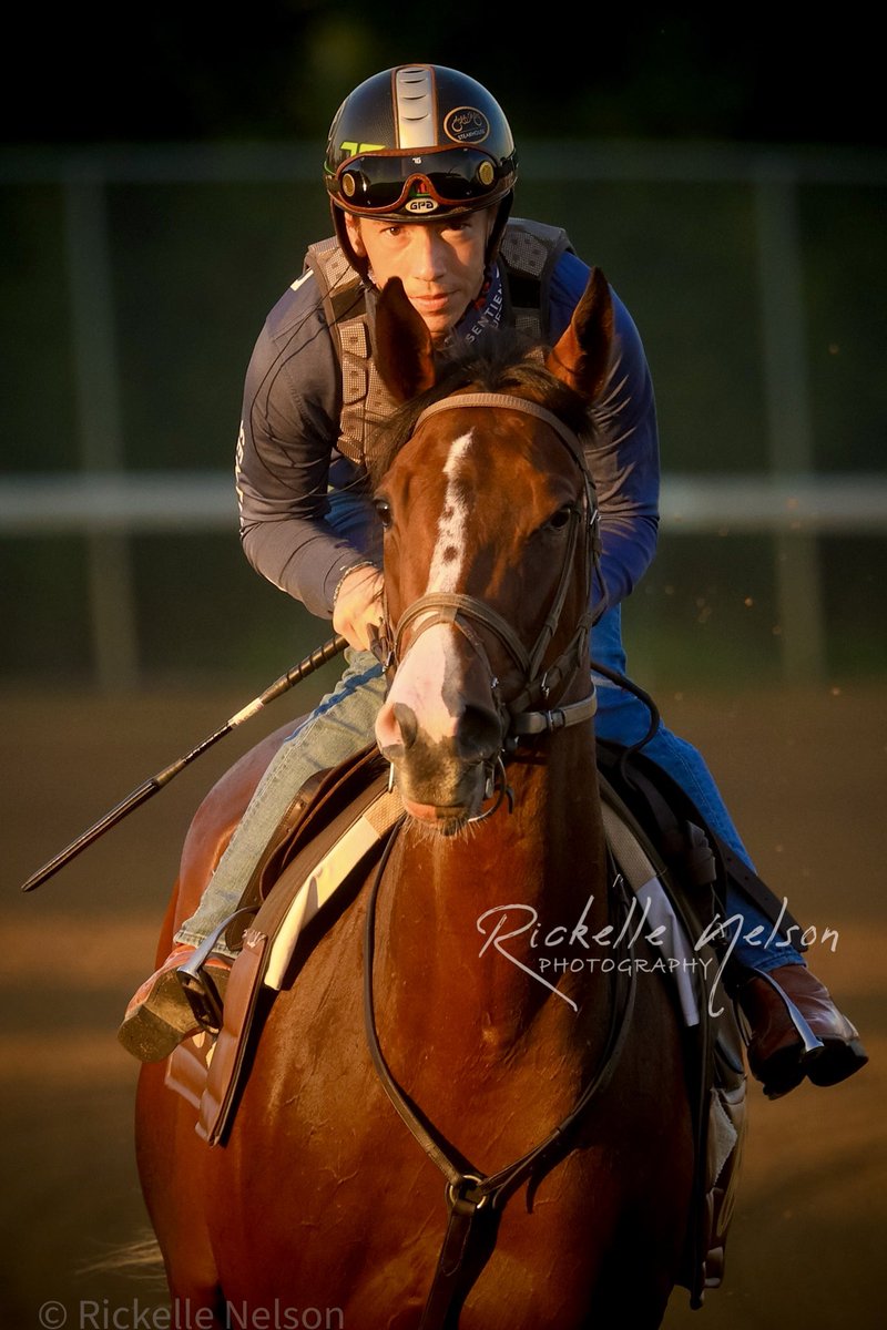 Good to see <a href="/TylerGaff/">Tyler Gaffalione</a> back working horses at CD this morning! It’s been a minute and it was nice to see him here riding this beauty for <a href="/wwaldenracing/">Will Walden</a> 🏇🏻🏇🏻🏇🏻