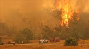 cabeceramx's tweet image. Calor extremo e incendios arrasan Grecia, los Balcanes y Turquía en una semana de altas temperaturas y destrucción cabecera.mx/calor-extremo-…