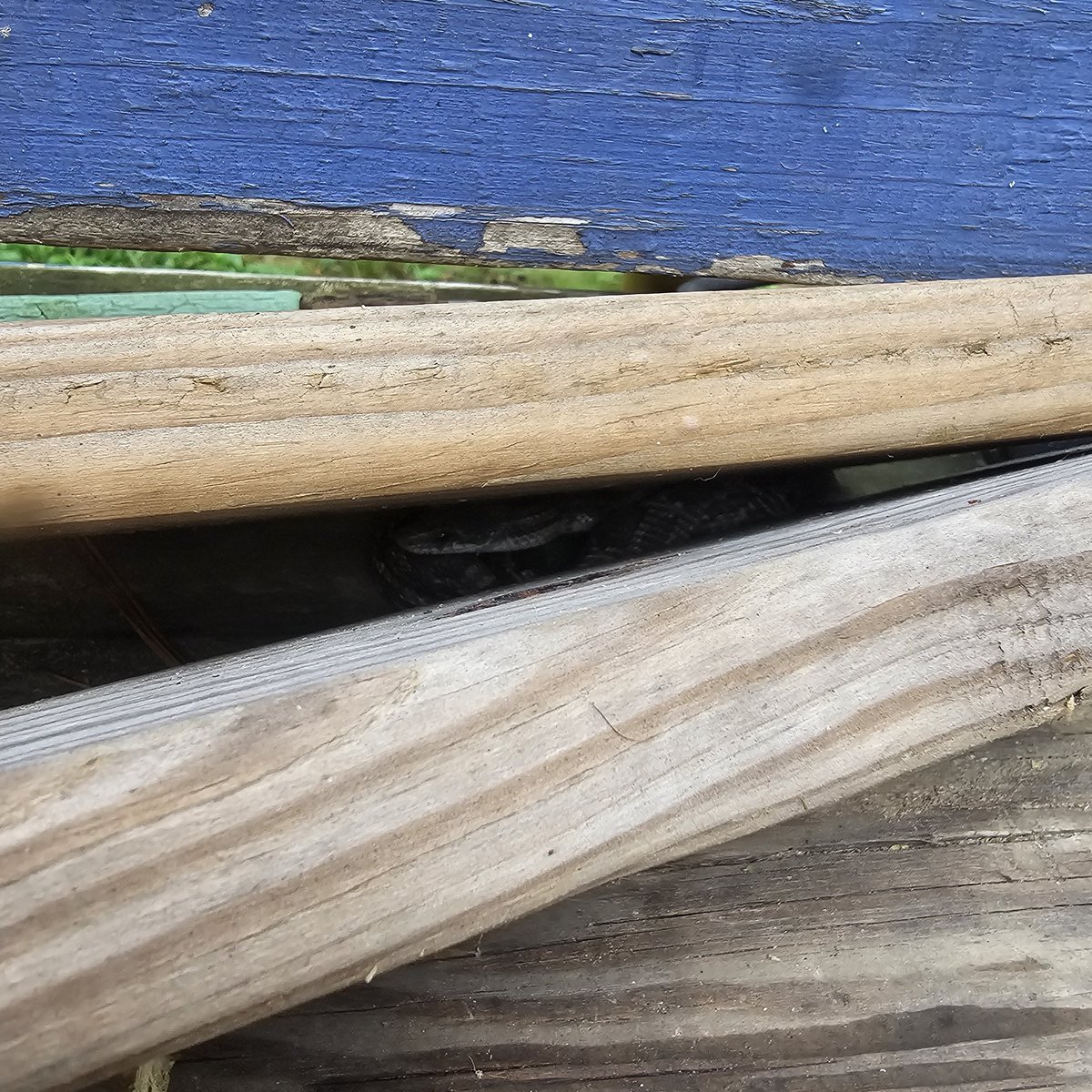 RGCoffeeCorps's tweet image. A made a new fren today.