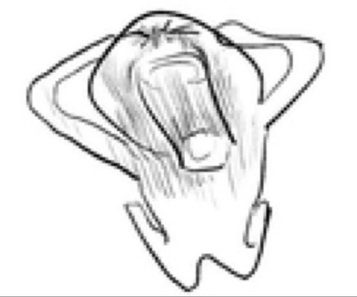singnsleepn's tweet photo. why ... is Knuckles KUROMI I've lost EVERYTHING https://t.co/ufDvDhzrz5