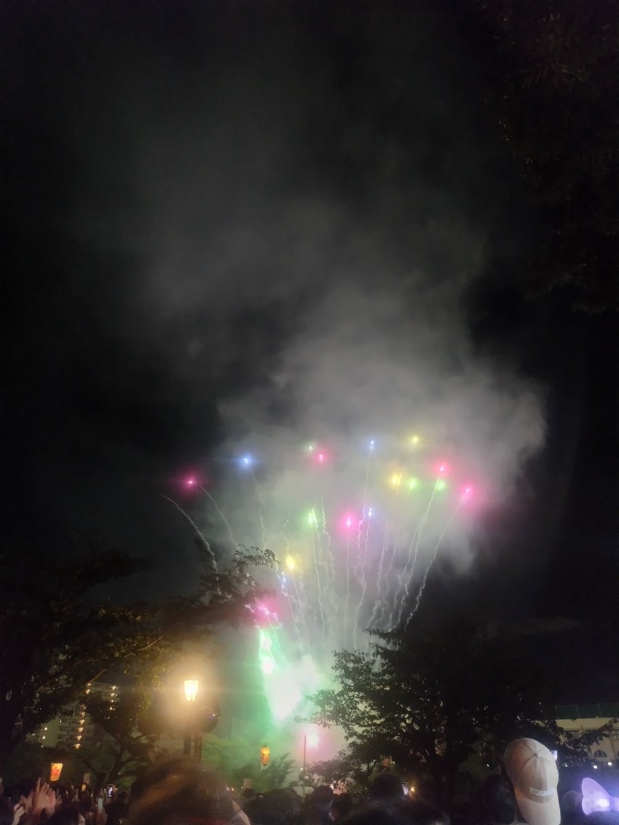 hiro_ko_driver2's tweet image. 天神祭行ってきました🎆
身動き取れないほどの人混みでした😅
#天神祭り